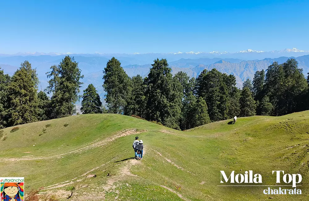 Moila Top near Chakrata. Pic: 