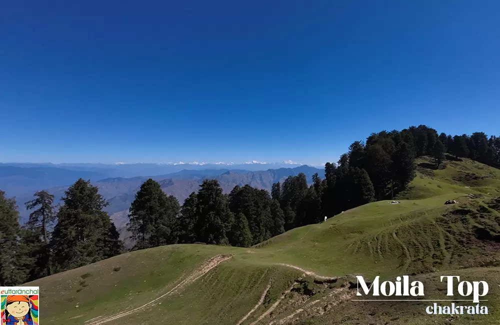 Moila Top in Chakrata. Pic: 