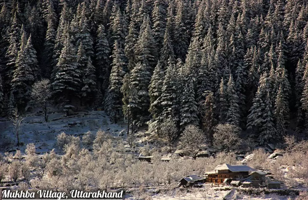 Mukhba village during winters. Pic: Sandeep Bisht