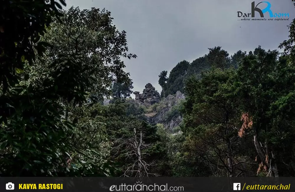 Camel Back Road Mussoorie. Pic: Kavya Rastogi 