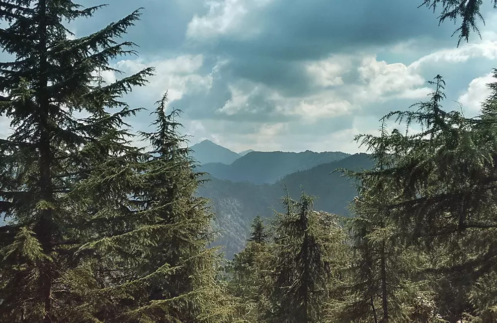 Mystic view near Lal Tibba, Mussorie.. Pic: Kamal Rana 