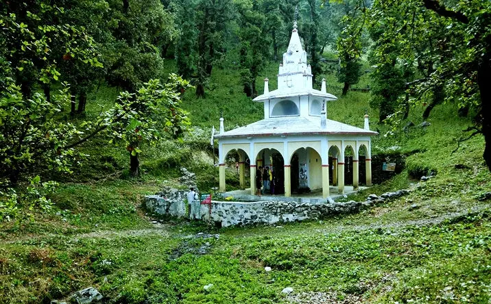 . Pic: 