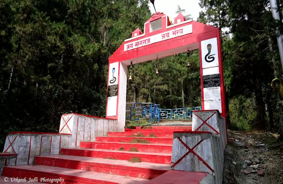 Trek to Nagdev Temple in Pauri. Pic: Utkarsh Jadli