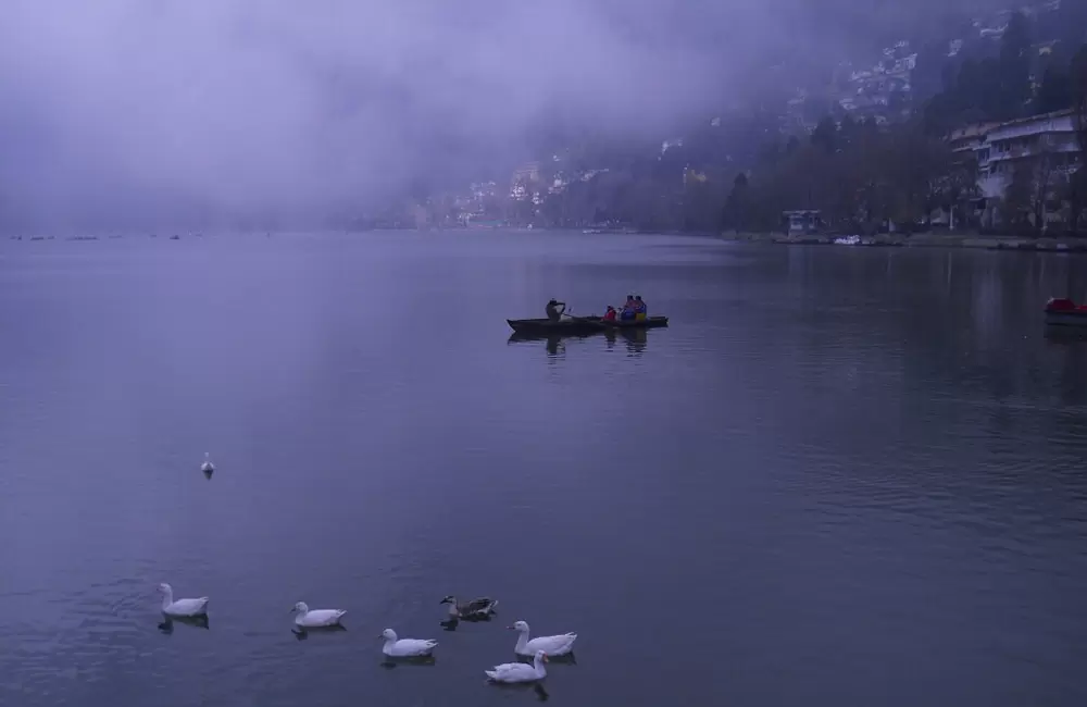 This photography shows the beautiful Naini Lake with its ducks and lots of fogâ€¦.. Pic: Aayush Shah 