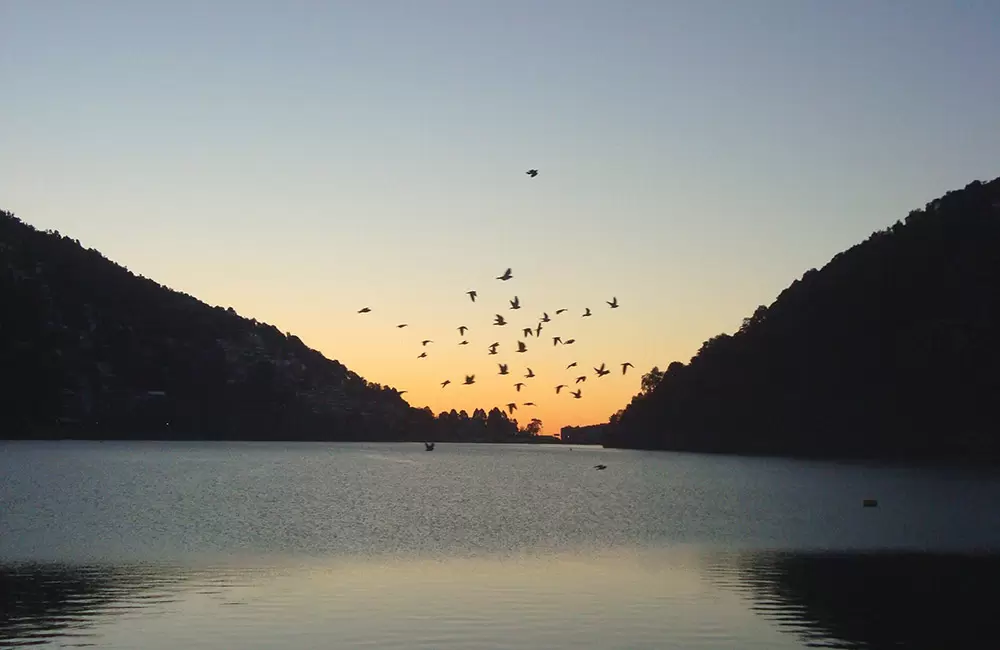 The Pride of Kumaon - 5 Nights Road Trip