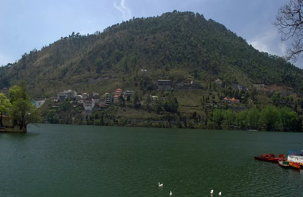 This photo was taken at bhimtal.It was a great view to watch the swans in the pristine water of the lake.. Pic: Rupa Mitra 