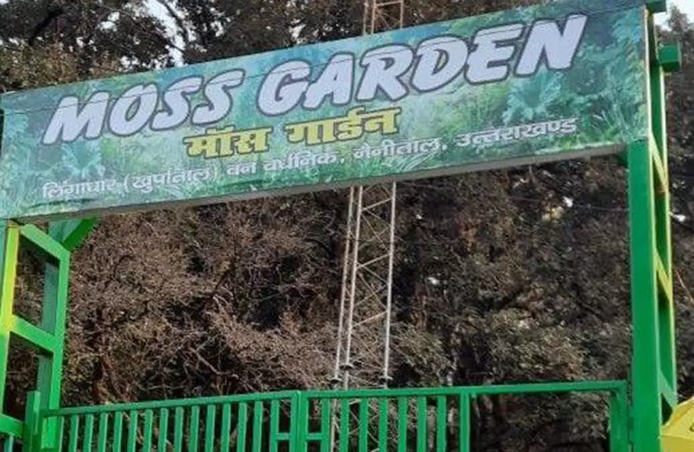 Moss Garden in Nainital Region. Pic: 