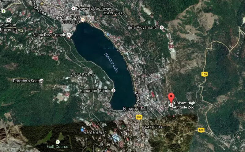 Location of Nainital Zoo in Nainital. Pic: Google Maps