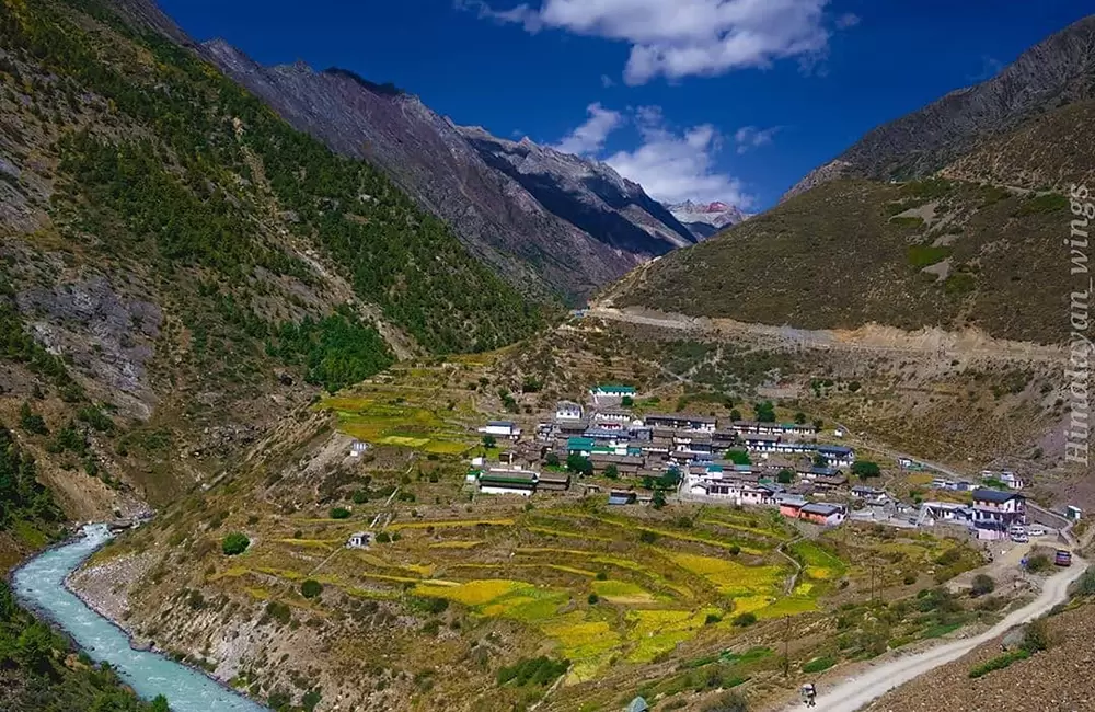 Niti Valley in early Summers. Pic: 