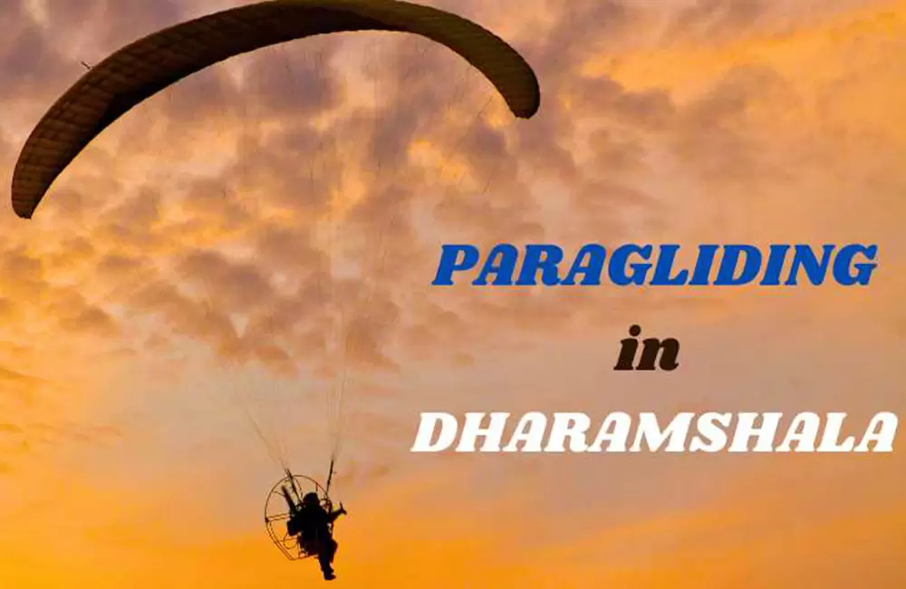 Paragliding in Dharamshala