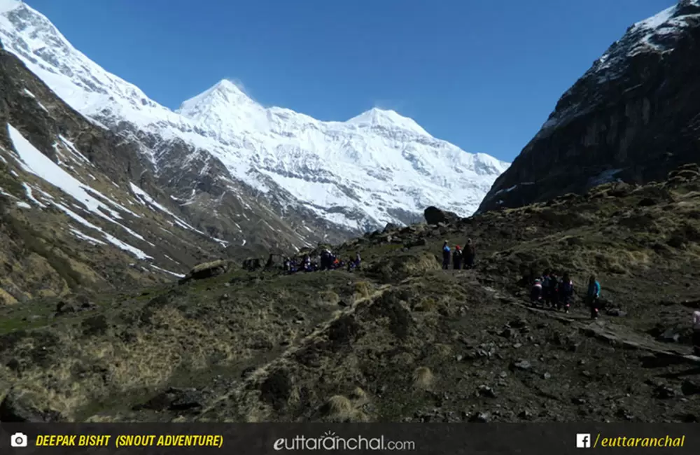 Pindari Glacier Budget Trek with Transport