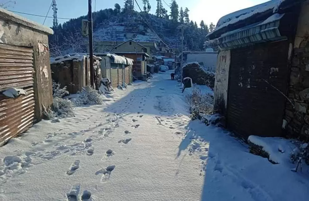 Pratap Nagar main road (market) covered with snow. Pic: 