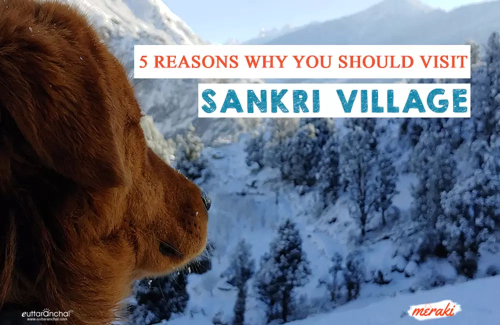 Top 5 Reasons Why you should visit Sankri