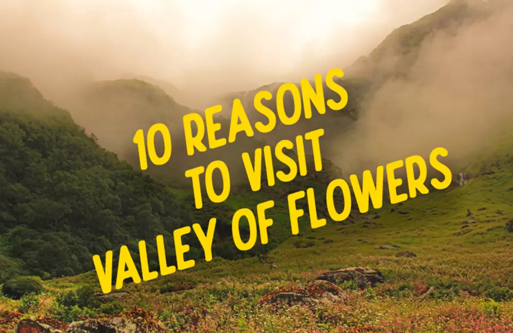 10 Reasons Why You Should Visit Valley of Flowers