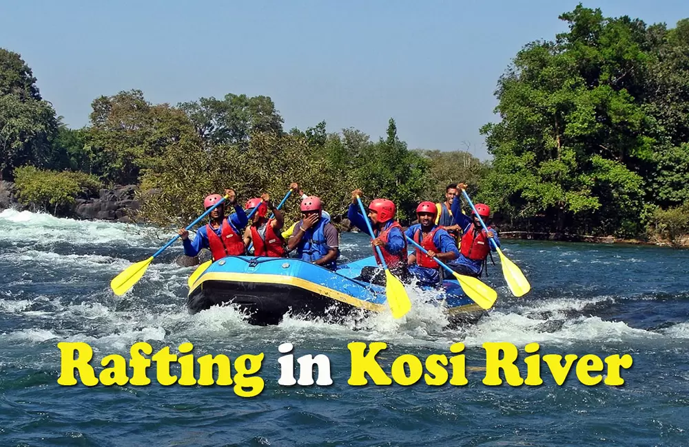 River Rafting in Corbett on Kosi River