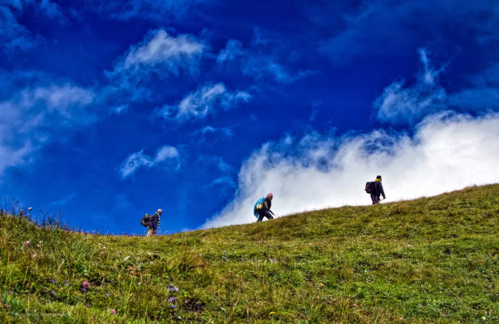 Lush green meadows near Roopkund, (during holy Nanda Raj Jaat Yatra 2014). Pic: Gopi Verma 