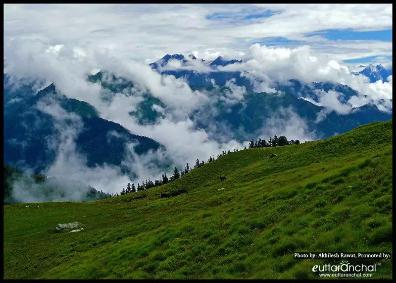 Panar Bugyal, Rudrnath Chamoli.. Pic: Akhilesh Rawat