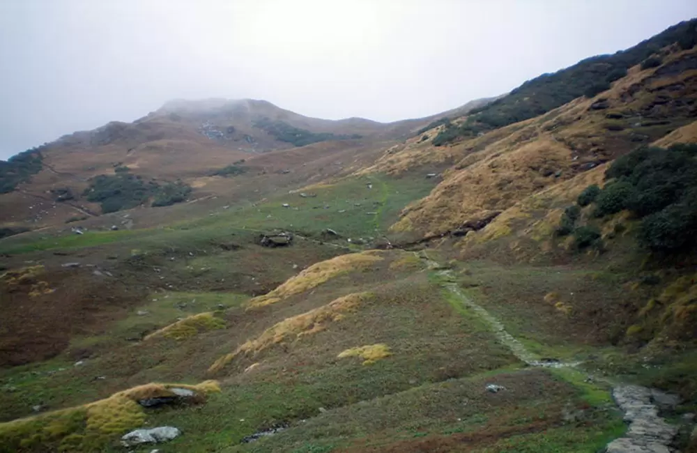 Beautiful meadows and lovely landscapes will come across during trek. Pic: eUttaranchal.com