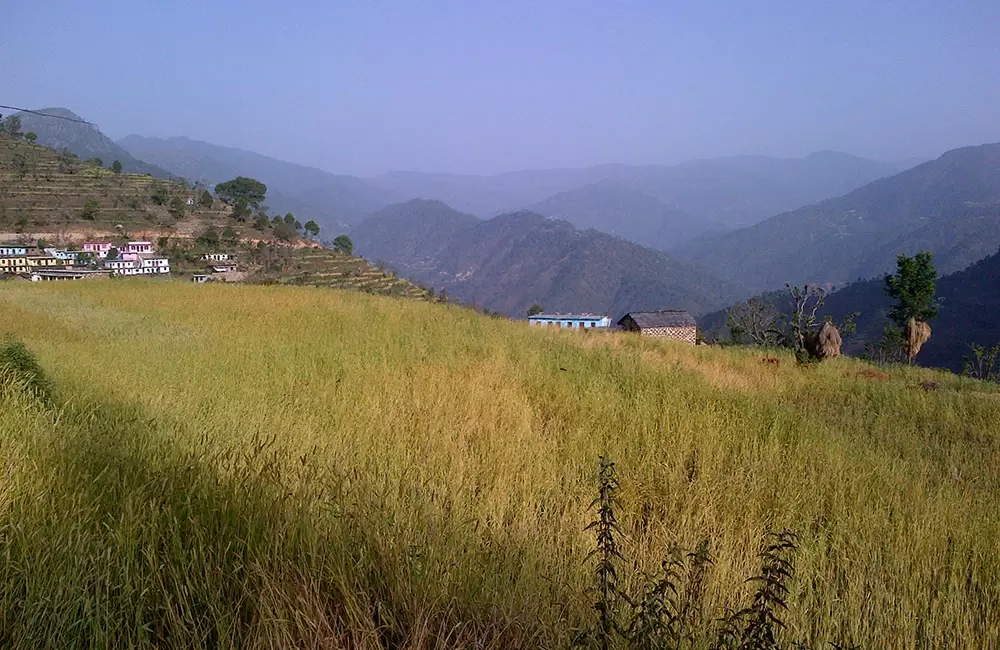 Step farming in Naari, village Rudraprayag.. Pic: Palaknegi 