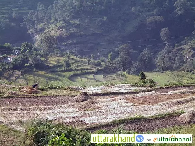 Sagar village view of Gopeshwar Chamoli, near Mandal. On the trek route of Rudranath temple of lord Shiva.. Pic: eUttaranchal.com