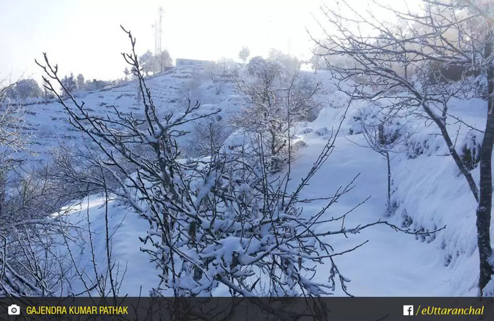 The white blanket of snow after a perfect snowfalls in Shitlakhet Almora.Around Shyahi Devi.. Pic: Gajendra Kumar Pathak