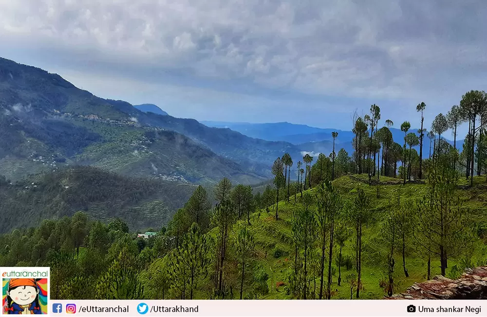 Simtoal (Simtoli) in Tarikhet near Almora. Pic: Uma Shankar Negi