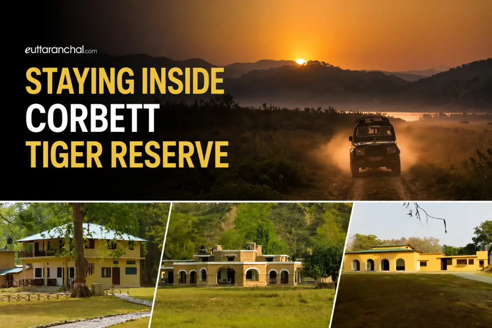 Staying Inside Corbett Tiger Reserve Photos Staying Inside Corbett Tiger Reserve