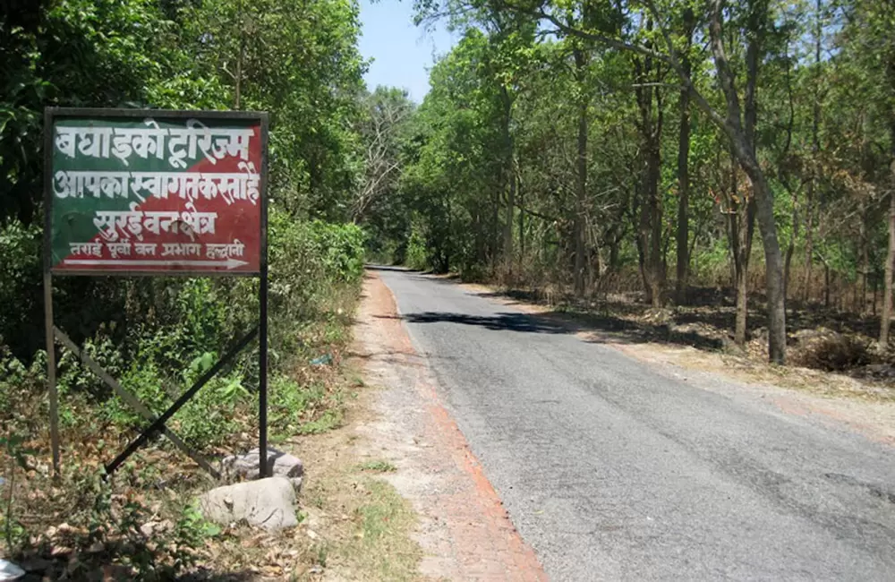 Surai Forest Range, Khatima. Pic: panoramio.com