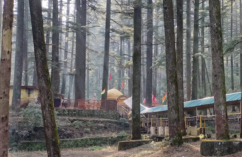 Tadkeshwar Dham surrounded by Deodar Trees. Pic: Rashmi Bisht