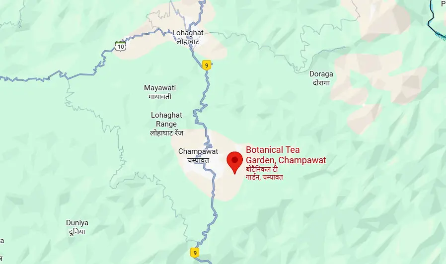 Location Map of Champawat Botanical Tea Garden. Pic: Google Maps