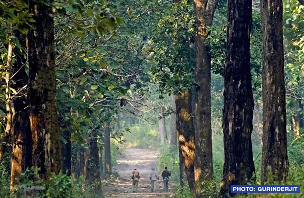 Thano Forest Range & Picnic Spot Dehradun.. Pic:  gurinderjit Via eUttaranchal facebook