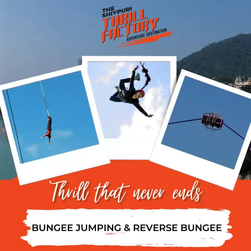 Bungee and Reverse Bungee at Thrill Factory. Pic: 