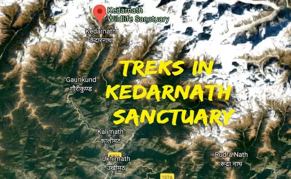 Trekking Spots in Kedarnath Wildlife Sanctuary