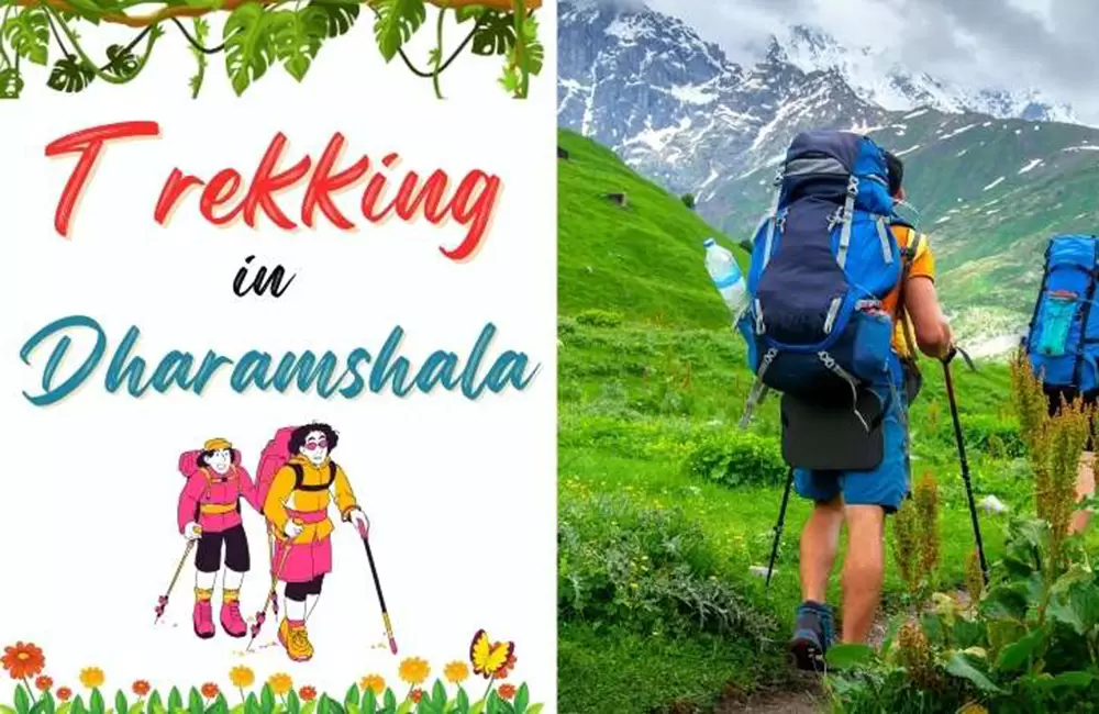 Treks in Dharamshala