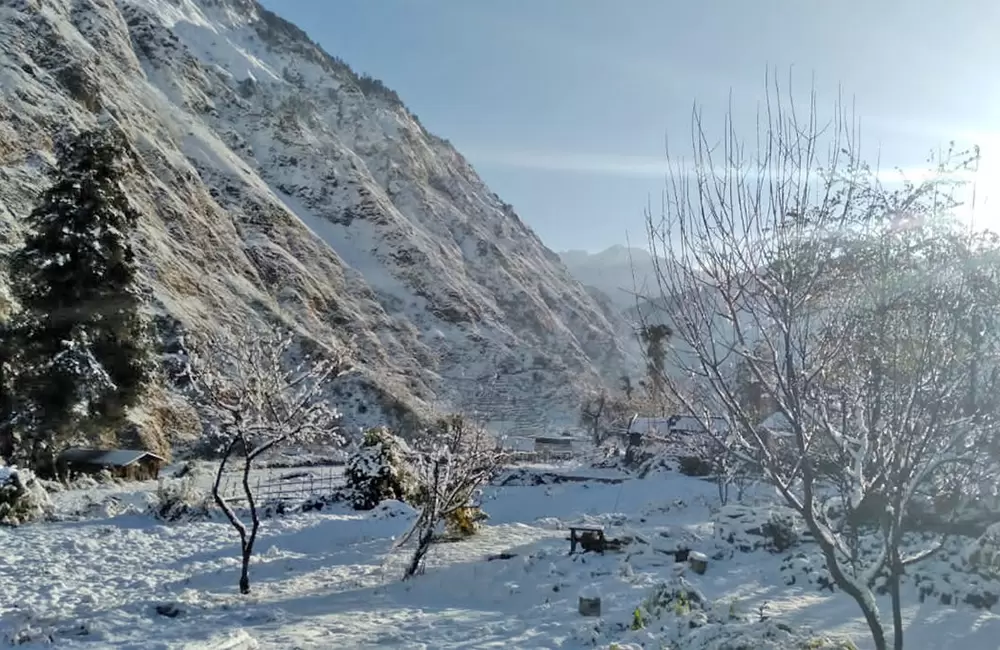 Snowfall during winters in Urgam Valley. Pic: 