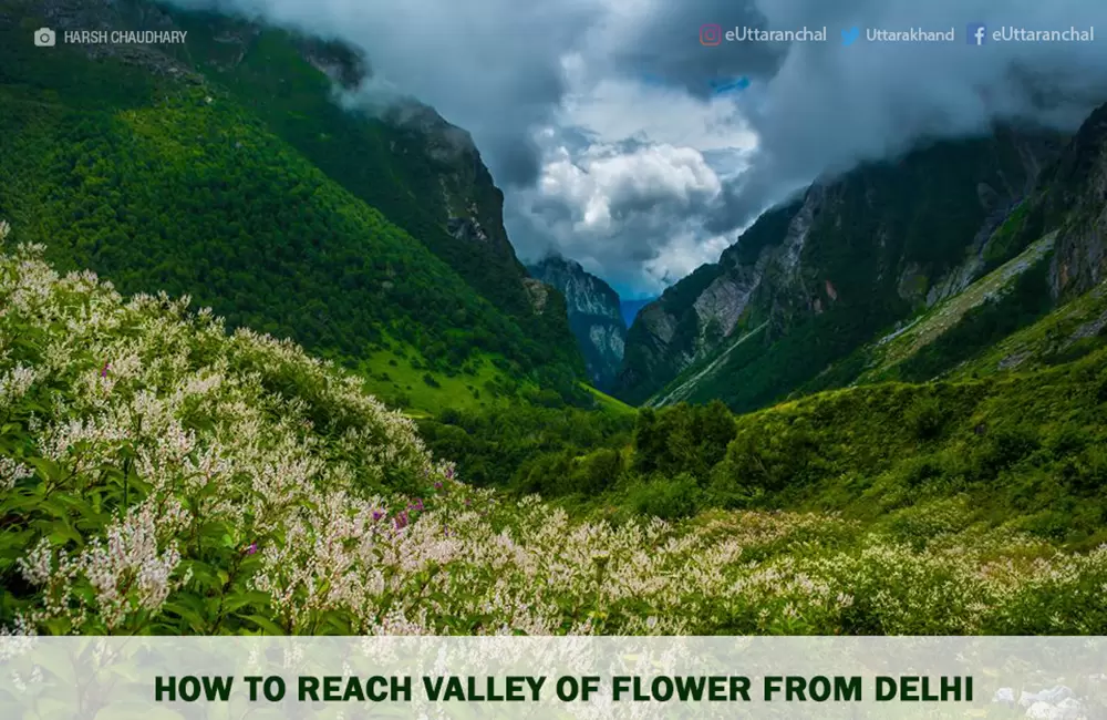 How to Reach Valley of Flower From Delhi