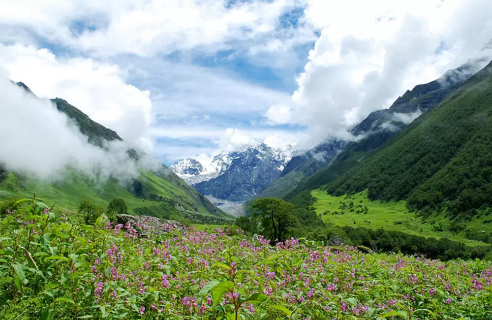 Valley of Flowers - Do It Yourself Trek (Budget)