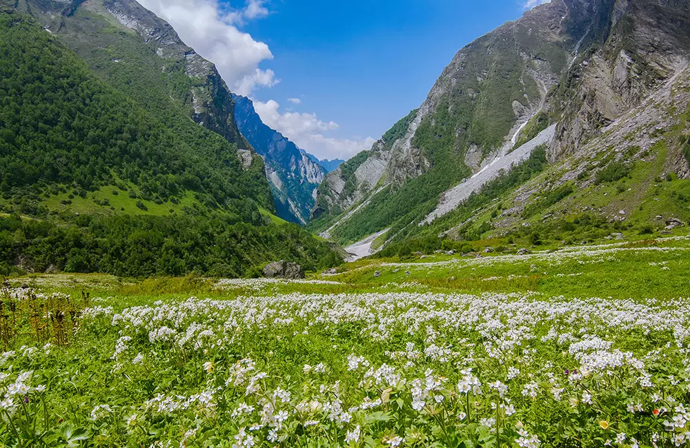 Valley of Flowers and Hemkund Sahib Trekking Package along with Badrinath