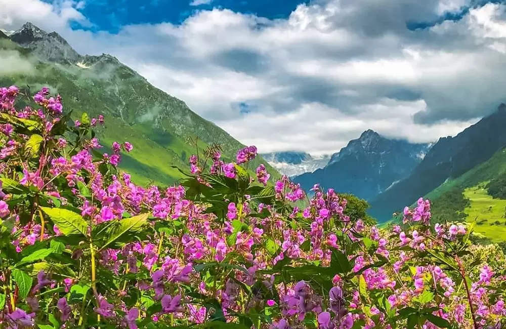 Valley Of Flower. Pic: Wanderlust Negi