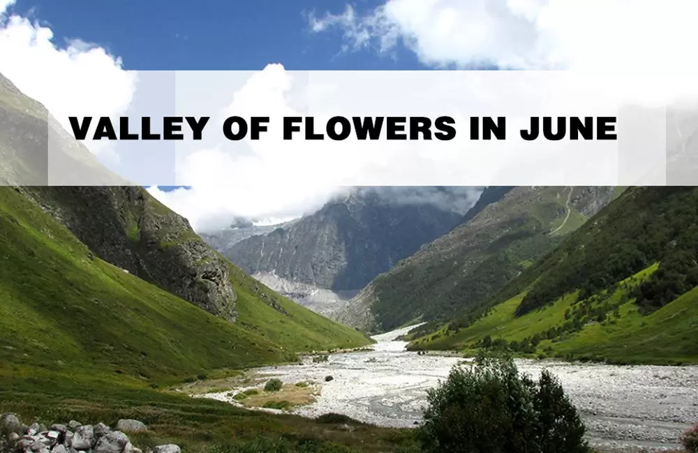 Valley of flowers in June