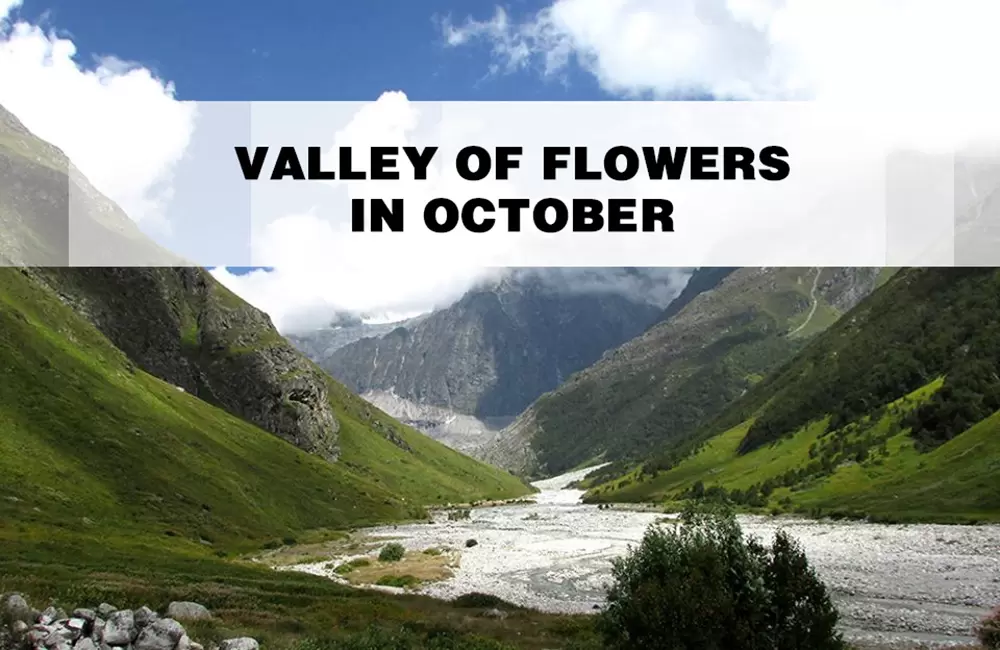 Valley of flowers In October