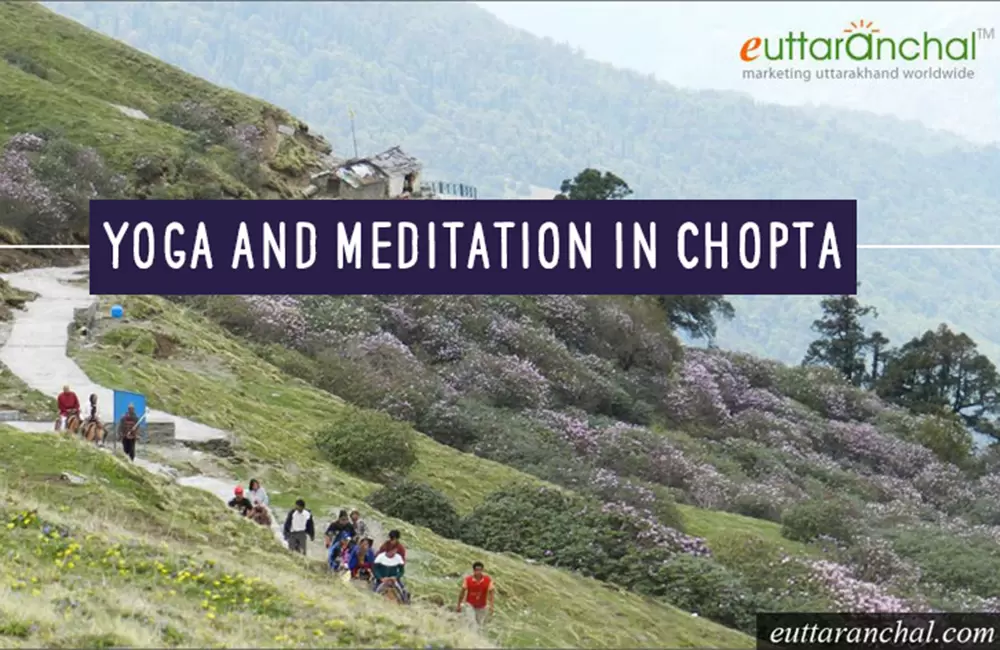 Yoga and Meditation in Chopta