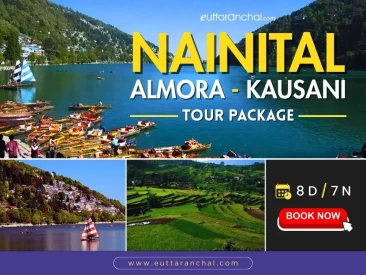 Almora Tour Package
