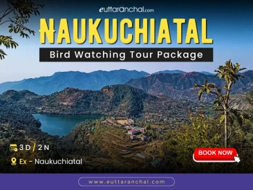 Naukuchiatal Bird Watching Tour