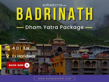 Badrinath Dham Yatra - 3 Nights Ex Haridwar Package