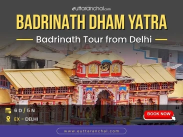 Badrinath Tour Package