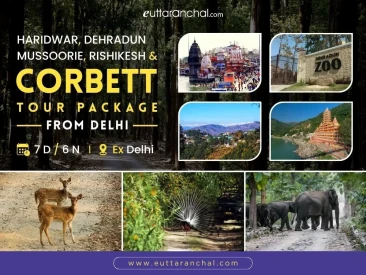 Corbett National Park Tour Package