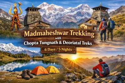 Chopta Tour Package