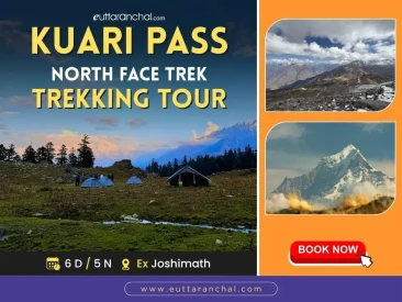 Kuari Pass North Face - 5 Nights Trekking Package