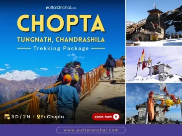 Chopta 2 Nights Trekking Tour with Tungnath Chandrashila